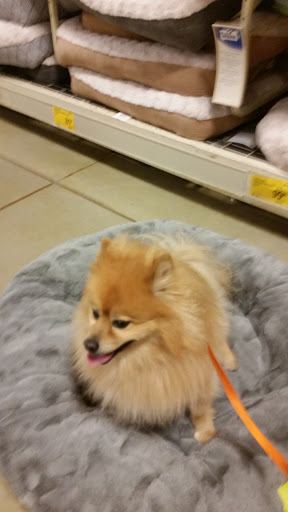 Pet Supply Store «PetSmart», reviews and photos, 4500 Mitchellville Rd, Bowie, MD 20716, USA