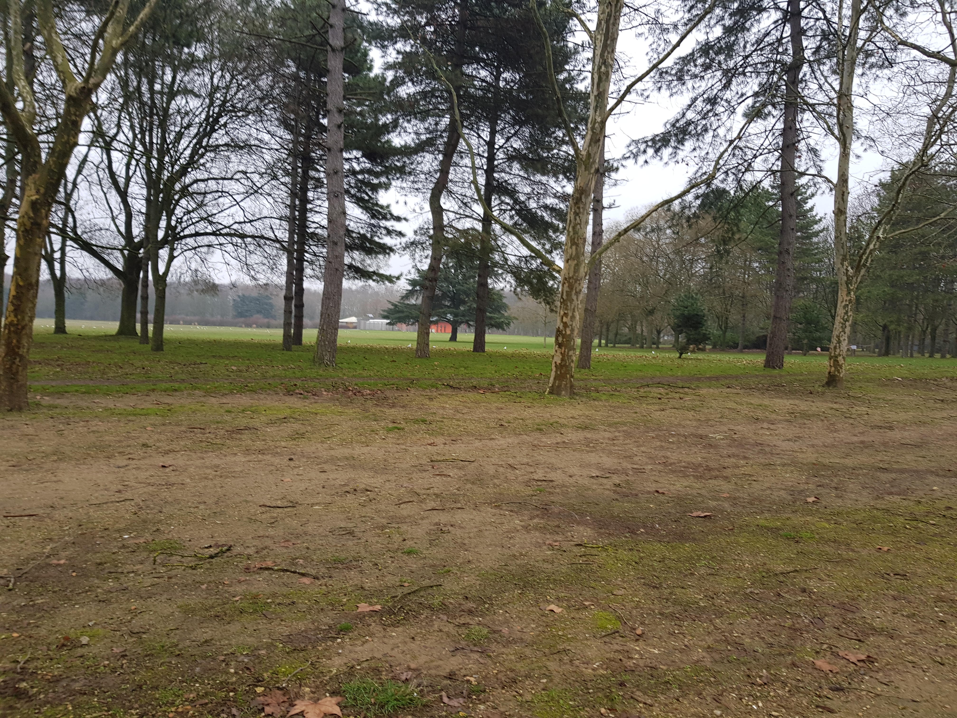 Photo n° 26 de l'avis de MICHELSON. fait le 20/01/2019 à 13:37