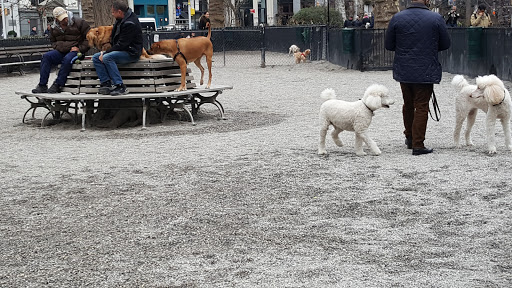 Park «Madison Square Park», reviews and photos, 11 Madison Ave, New York, NY 10010, USA