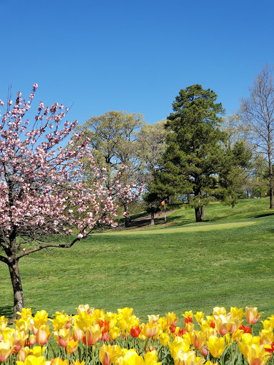 Golf Club «Springfield Golf & Country Club», reviews and photos, 8301 Old Keene Mill Rd, Springfield, VA 22152, USA