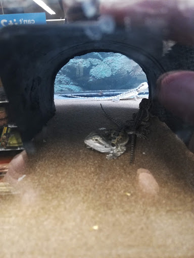 Pet Supply Store «Petco Animal Supplies», reviews and photos, 5006 NY-23 #1b, Oneonta, NY 13820, USA