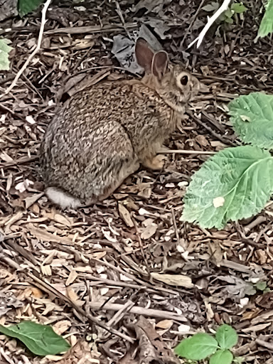 Park «The Park at Bothell Landing», reviews and photos, 9919 NE 180th St, Bothell, WA 98011, USA