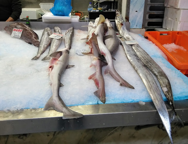 Peixaria do Mercado Municipal de Évora - Mercado