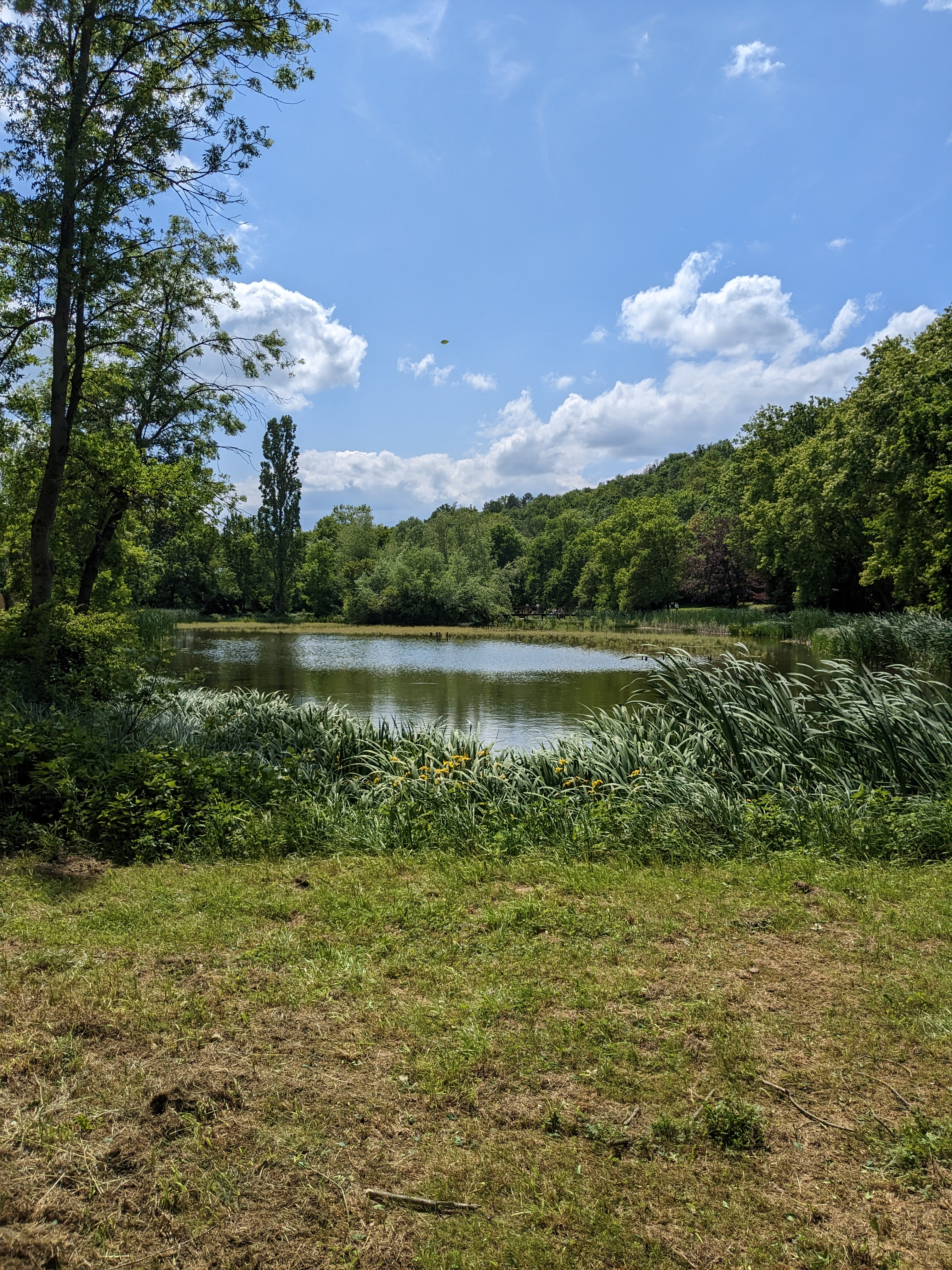 Photo n° 10 de l'avis de Rmans. fait le 08/06/2023 à 11:38