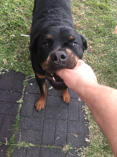 Pawn Shop «AAA Pawnbrokers of North Miami», reviews and photos, 14010 W Dixie Hwy, North Miami, FL 33161, USA