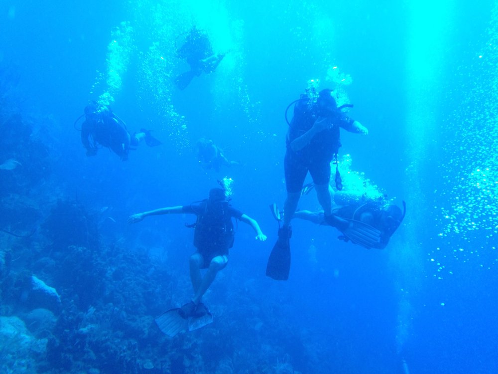 Bay Area School Of Diving