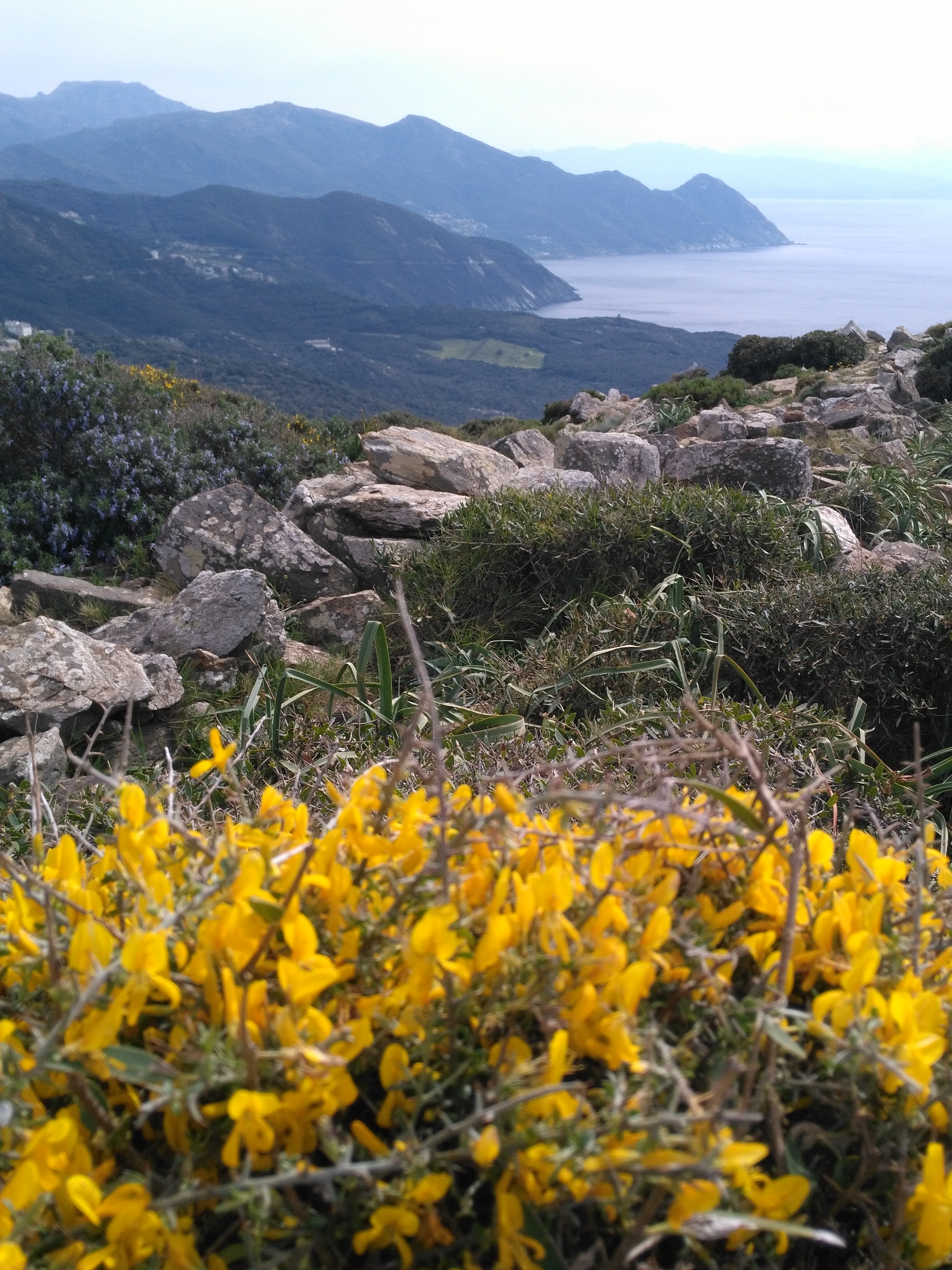Photo n° 6 de l'avis de Marie.r fait le 21/04/2019 à 19:20