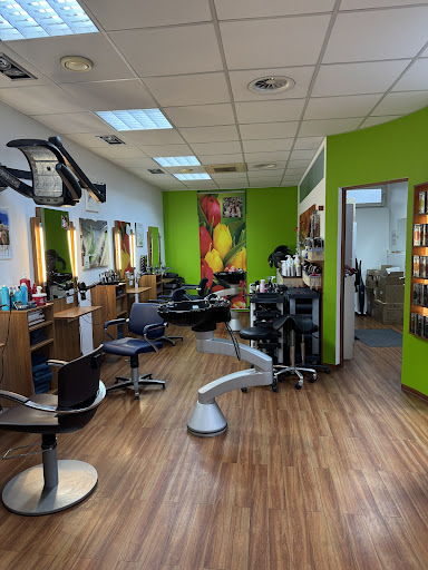 Erika's Haarstudio In Gallspach