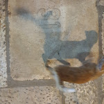 Photo n°6 de l'avis de Alessio.u fait le 03/09/2019 à 23:59 sur le  𝐕𝐢𝐥𝐥𝐚 𝐌𝐞𝐥𝐚𝐧𝐢𝐚 𝐜𝐨𝐫𝐭𝐢𝐥𝐞 𝟏𝟕𝟑𝟏 à Vittoria