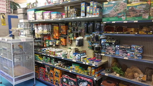 Tropical Fish Store «Stingray Bay», reviews and photos, 17800 E 9 Mile Rd, Eastpointe, MI 48021, USA