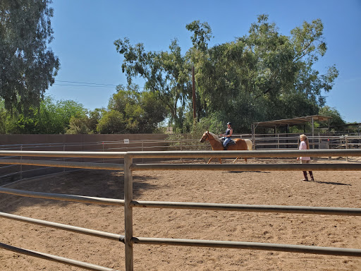 Horse riding school Glendale