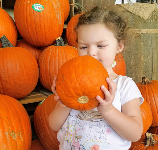 Grocery Store «Lowes Foods of Leland», reviews and photos, 1152 East Cutlar Crossing, Leland, NC 28451, USA
