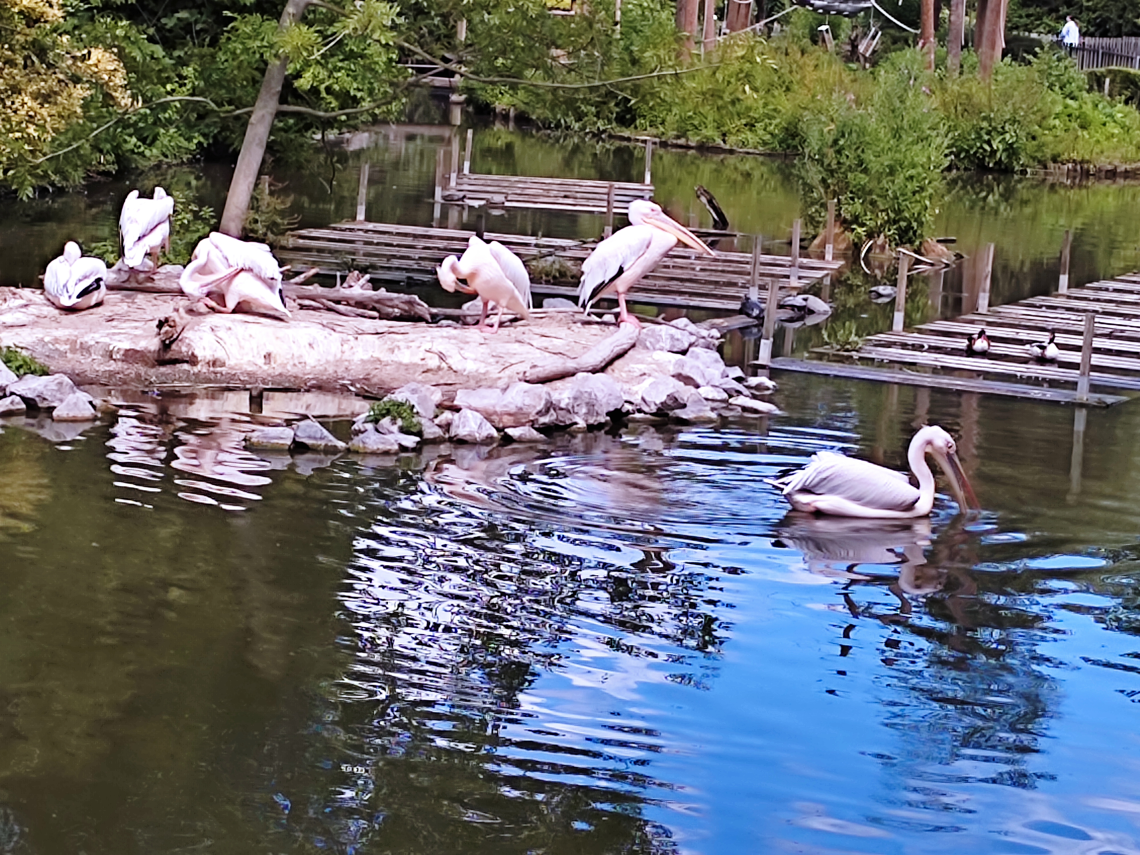 Photo n° 5 de l'avis de Alex.e fait le 09/07/2022 à 08:27