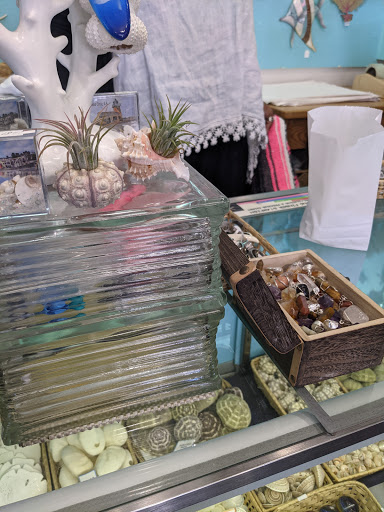 Gift Shop «Capitola Seashells», reviews and photos, 109 Capitola Ave, Capitola, CA 95010, USA