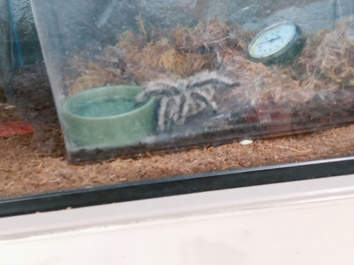 Pet Supply Store «Petco Animal Supplies», reviews and photos, 1207 S Caraway Rd, Jonesboro, AR 72401, USA