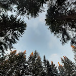 Photo n°33 de l'avis de Carmen.l fait le 12/12/2021 à 17:45 sur le  Schönrastalm à Aldein