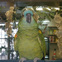 Under The Sea - Photo 5 - Car repair in Laredo, TX, Laredo