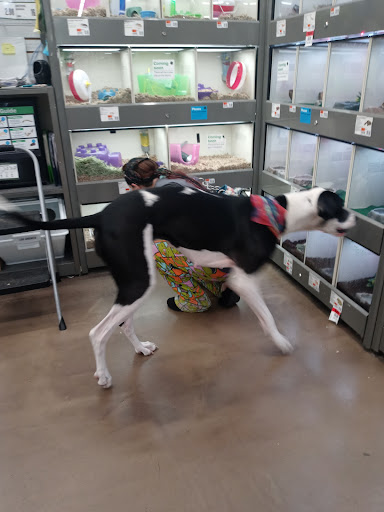 Pet Supply Store «Pet Supplies Plus», reviews and photos, 208 St James Ave, Goose Creek, SC 29445, USA