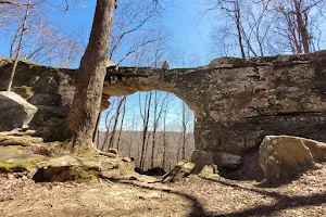 Natural Bridge State Natural Area image