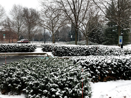 Insurance Company «Donegal Mutual Insurance Company», reviews and photos