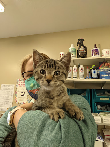 Roblin Veterinary Clinic image