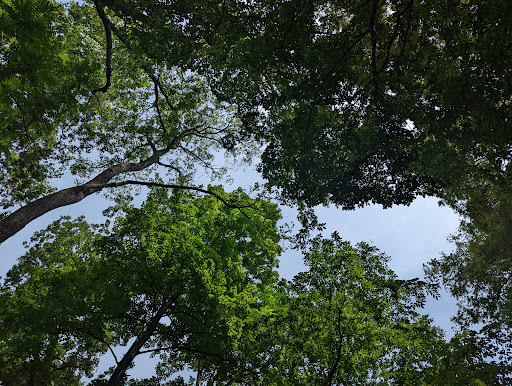 Park «Percy Warner Park», reviews and photos, 7311 Tennessee 100, Nashville, TN 37221, USA