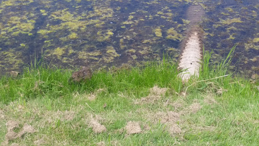 Golf Course «Yahara Hills Golf Course», reviews and photos, 6701 US-12, Madison, WI 53718, USA