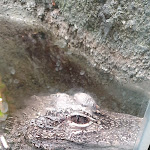 Photo n° 13 de l'avis de Greg.S fait le 03/08/2018 à 18:17 pour Zoo d'Amiens Métropole à Amiens