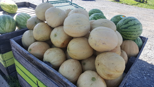 Store «Local Homestead Products LLC», reviews and photos, 2425 Marston Rd, New Windsor, MD 21776, USA