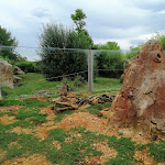 Photo n° 31 de l'avis de Amelie.h fait le 10/08/2023 à 15:31 pour ZooParc de Beauval à Saint-Aignan