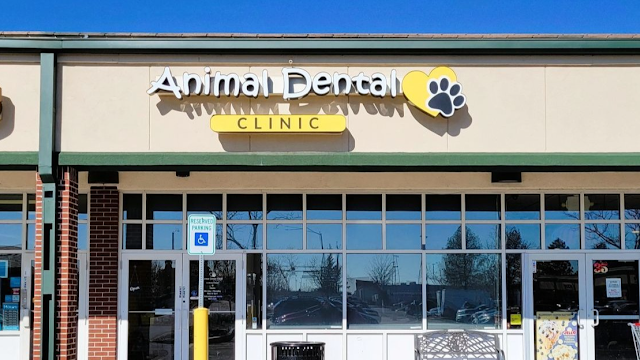 Animal Dental Clinic