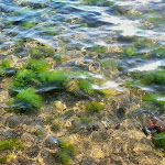 Photo n°3 de l'avis de Peter.o fait le 14/08/2023 à 05:20 sur le  Residence Hotel Antica Perla à Agrigento