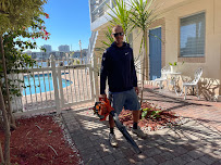 SoFlo Property Landscaping - Photo 4 - Car repair in , Hollywood