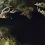 Photo n°1 de l'avis de Dimitri.g fait le 15/09/2020 à 19:26 sur le  Da sasà ristorante pizzeria à Cefalù