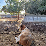 Photo n°1 de l'avis de zac.a fait le 12/10/2022 à 11:58 sur le  Agriturismo Parco Leone à Mottola