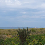 Photo n°20 de l'avis de Manuela.. fait le 23/06/2023 à 15:41 sur le  Strandhotel Sonnenburg à Kühlungsborn