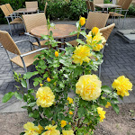 Photo n°2 de l'avis de Karl-Heinrich.n fait le 26/06/2021 à 12:48 sur le  Wildpark Diedrichsburg à Melle