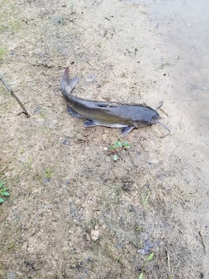 Krueger Lake - photo 7