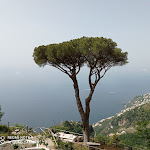 Photo n°2 de l'avis de Emanuela.e fait le 11/07/2021 à 22:21 sur le  Agriturismo Sant'Alfonso à Furore