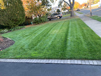 C & J Bros Landscaping - Photo 6 - Car repair in , Queens