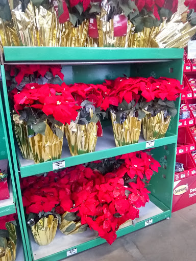 Home Improvement Store «The Home Depot», reviews and photos, 2034 Mt Zion Rd, Morrow, GA 30260, USA