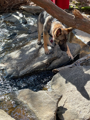 Nature Preserve «Autrey Mill Nature Preserve & Heritage Center», reviews and photos, 9770 Autrey Mill Rd, Johns Creek, GA 30022, USA