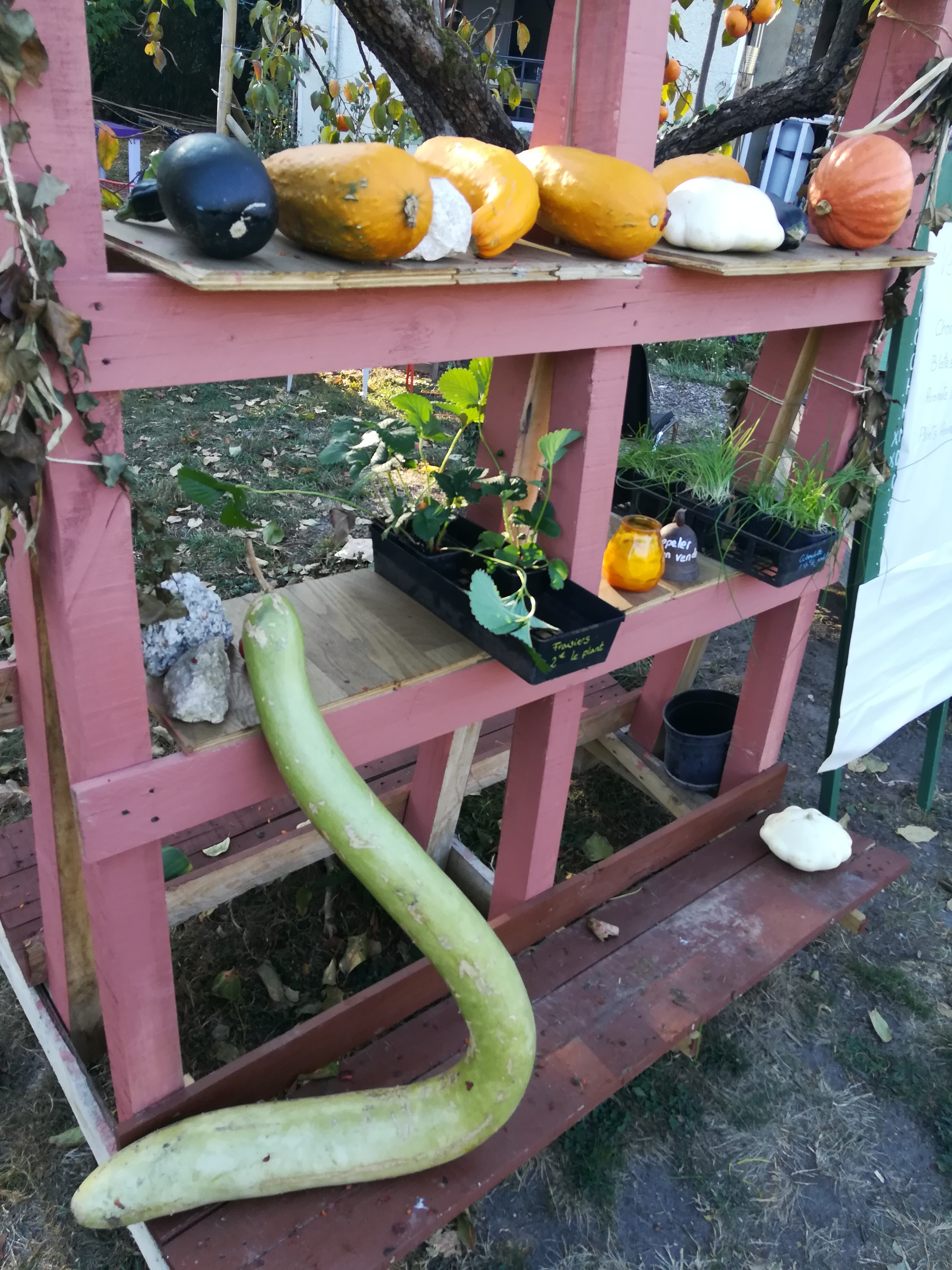 Photo n° 2 de l'avis de Boris. fait le 31/10/2018 à 13:07