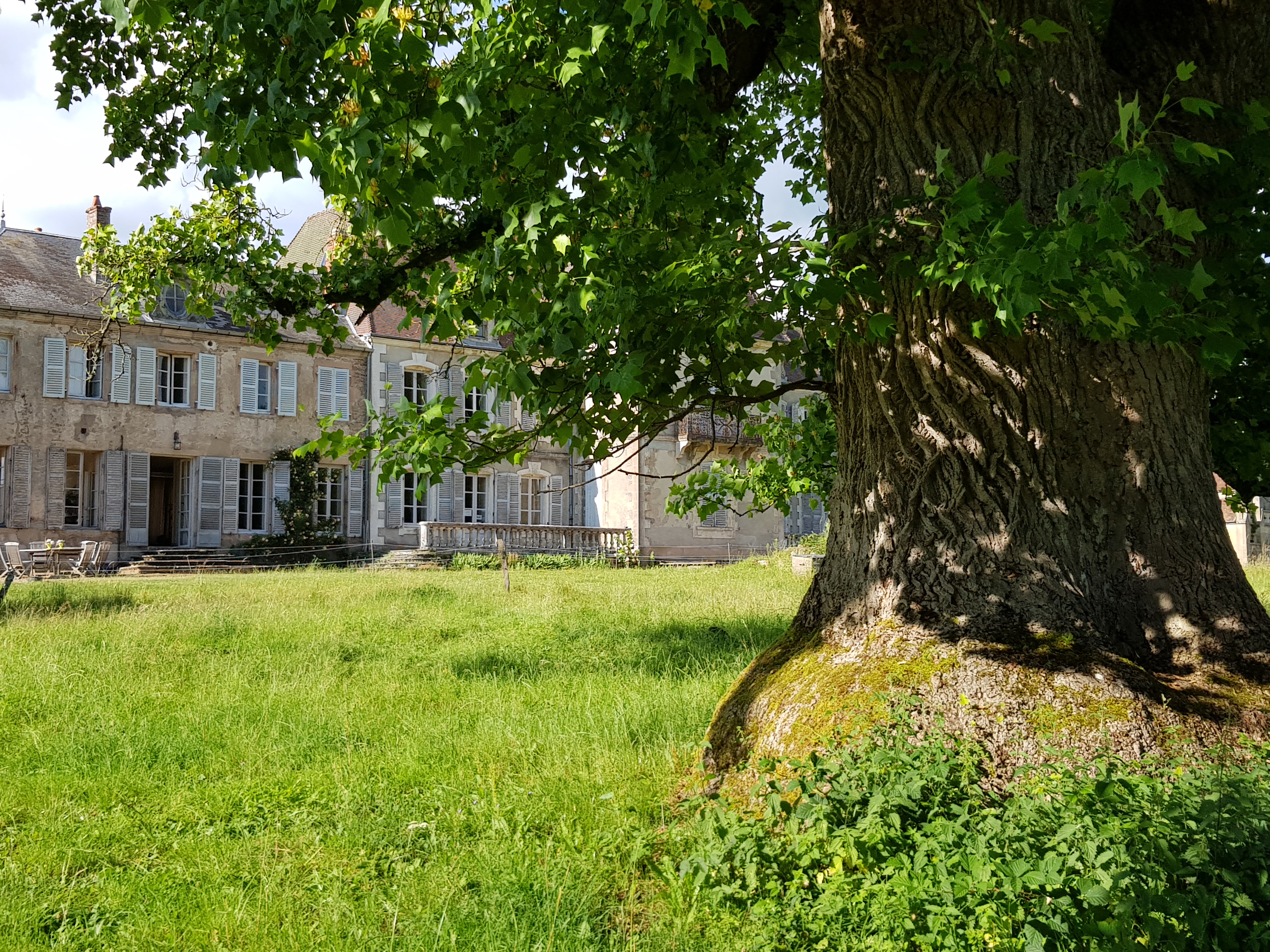 Photo n° 4 de l'avis de Ric.t fait le 10/06/2018 à 11:32