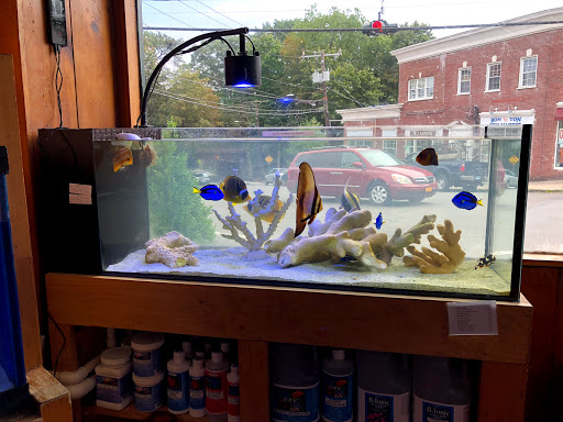 Tropical Fish Store «House of Fins», reviews and photos, 99 Bruce Park Ave, Greenwich, CT 06830, USA