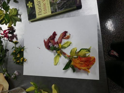 Community Center «Dunedin Community Center», reviews and photos, 1920 Pinehurst Rd, Dunedin, FL 34698, USA