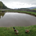 Photo n°5 de l'avis de Elena.k fait le 21/01/2021 à 14:50 sur le  Lobishof Albergo à Oberbozen