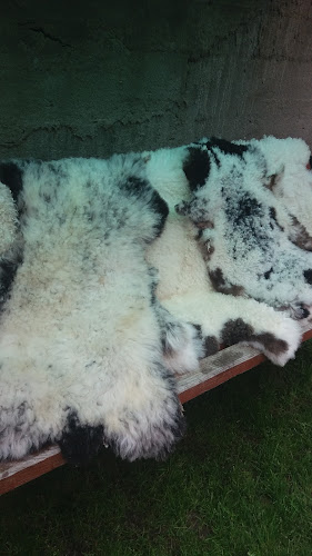 Muzeul Etnografic - Muzeu