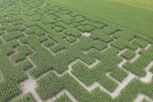 Pop Corn Labyrinthe YVELINES (Jouars-Pontchartrain) - Labyrinthe Géant de Maïs image
