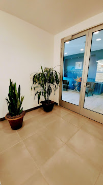 Planta Verde Interior Plant Service - Photo 8 - Car repair in Escondido, CA, Oceanside